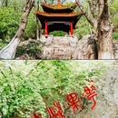 连云港市花果山风景区 - 连云港市旅游 缩略图 5