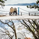 青岛八大关 - 青岛市旅游 缩略图 5