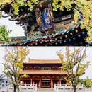 台儿庄古城 - 枣庄市旅游 缩略图 6