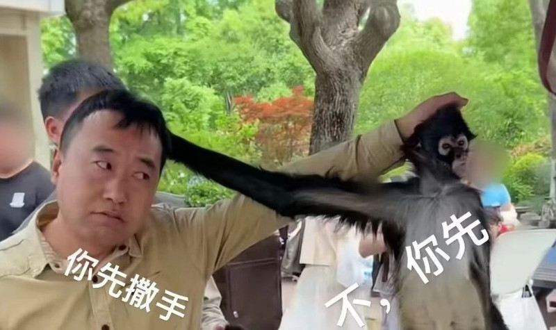 //pic5.40017.cn/i/ori/1NgTouFsSrK.jpg