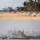 湛江森林公园 - 湛江市旅游 缩略图 4