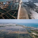 湛江森林公园 - 湛江市旅游 缩略图 3