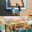 湛江森林公园 - 湛江市旅游 缩略图 6