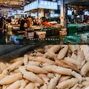 湛江森林公园 - 湛江市旅游 缩略图 7
