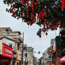 阳江鸳鸯湖 - 阳江市旅游 缩略图 6