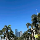 深圳莲花山 - 深圳市旅游 缩略图 4