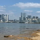 深圳莲花山 - 深圳市旅游 缩略图 5