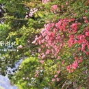 庙后周村 - 宁波市旅游 缩略图 2