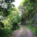 庙后周村 - 宁波市旅游 缩略图 5