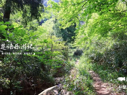 庙后周村 - 宁波市旅游