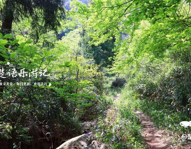 庙后周村 - 宁波市旅游 1