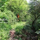 庙后周村 - 宁波市旅游 缩略图 3