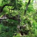 庙后周村 - 宁波市旅游 缩略图 6