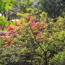 庙后周村 - 宁波市旅游 缩略图 7