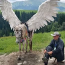 唐布拉风景区 - 伊犁哈萨克自治州旅游 缩略图 2