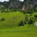 唐布拉风景区 - 伊犁哈萨克自治州旅游 缩略图 3