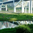 重庆珊瑚公园 - 重庆市旅游 缩略图 2