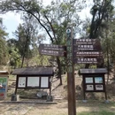 香港旅游 缩略图 3