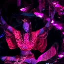 奥兰多 - 美国旅游 缩略图 16