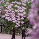 河内 - 越南旅游 缩略图 8