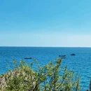 大连森林动物园 - 大连市旅游 缩略图 6
