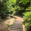 三星堆博物馆 - 德阳旅游 缩略图 12