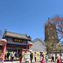 大连旅游 缩略图 12