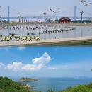 大连旅游 缩略图 5