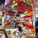 大连旅游 缩略图 14