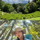 日本 - 海外旅游 缩略图 4