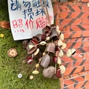 泉州西街 - 泉州市旅游 缩略图 13