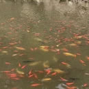 大连旅游 缩略图 2