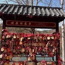 大连旅游 缩略图 12