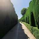 格拉纳达 - 西班牙旅游 缩略图 4