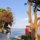 宁波老外滩 - 宁波市旅游 缩略图 8