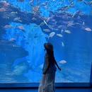 瑞莱悦旅酒店(洛阳火车站地铁站店) - 洛阳旅游 缩略图 10