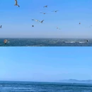 银沙滩公园 - 大连市旅游 缩略图 3