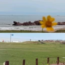 银沙滩公园 - 大连市旅游 缩略图 4