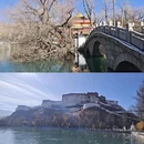 拉萨旅游 缩略图 5