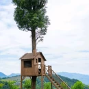 大佑云天度假区 - 丽水市旅游 缩略图 10