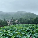 安吉余村"两山"景区 - 湖州市旅游 缩略图 4