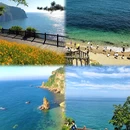 大连旅游 缩略图 2