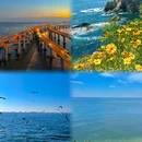 大连旅游 缩略图 4