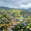 桂林旅游 缩略图 10