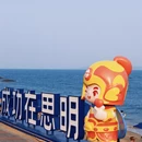 厦门旅游 缩略图 7