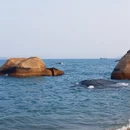 厦门旅游 缩略图 6
