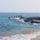 厦门旅游 缩略图 5