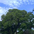 福州烟台山公园 - 福州市旅游 缩略图 3
