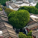 福州烟台山公园 - 福州市旅游 缩略图 2