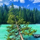 白哈巴景区 - 阿勒泰地区旅游 缩略图 2
